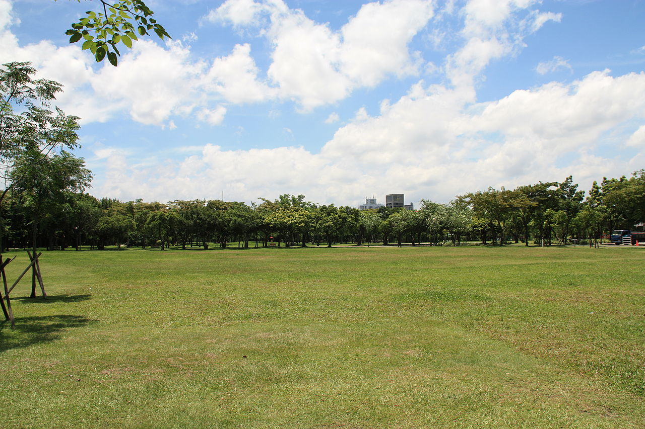 大安森林園(籌備中)